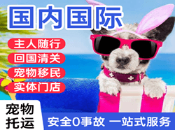 海拉尔航空托运国际宠物托运 【国